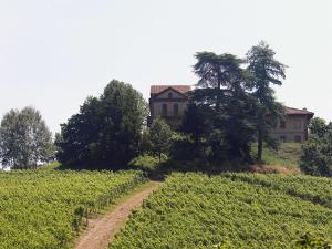 a house on a hill next to a dirt road at Tenuta Montanello B&B in Castiglione Falletto