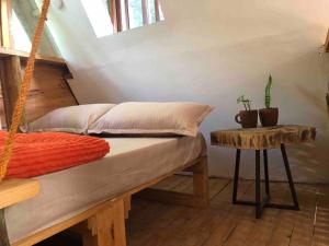 阿魯沙的住宿－Meru Eco Hideaway，一间卧室配有一张床和一张带仙人掌的桌子