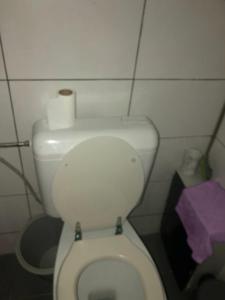 a bathroom with a toilet with a roll of toilet paper on it at Antwerpen OLIVIA Apartments in Antwerp