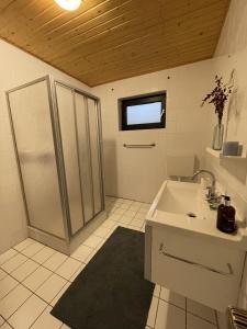 bagno con doccia e lavandino di Haus Anna a Lemberg
