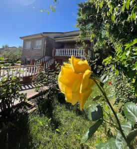 une fleur jaune devant une maison dans l'établissement Casa con jardín en Escalona, à Escalona