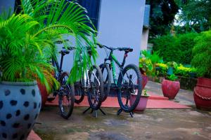 dos bicicletas estacionadas una junto a la otra junto a las plantas en The Better Inn en Moshi