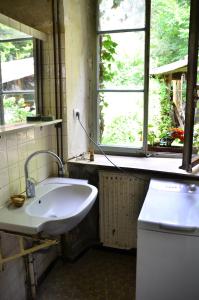 La salle de bains est pourvue d'un lavabo et d'une fenêtre. dans l'établissement Les anciens thermes, à Soultzbach-les-Bains