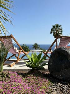 a patio with two chairs and some pink flowers at Frangimare - La Malandrina in Malfa