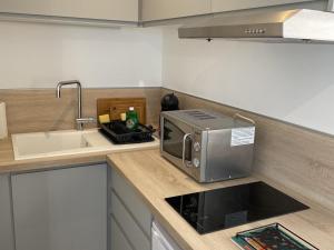 a kitchen with a sink and a microwave at Studio Aix-les-Bains, 1 pièce, 2 personnes - FR-1-617-25 in Aix-les-Bains