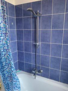 y baño de azulejos azules con ducha y bañera. en Cozy & Comfy House in Forest! en Bruselas