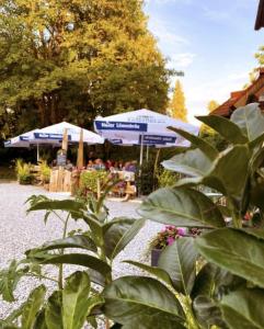 a garden with blue umbrellas and some plants at Nomad Nest in Michelbach an der Bilz