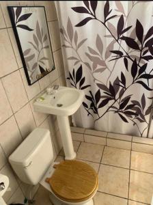 uma casa de banho com um lavatório, um WC e uma cortina de chuveiro. em Hotel central em San Juan del Sur