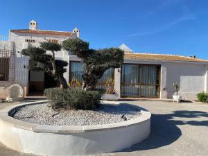 a tree sitting in a circle in front of a house at Villa Espanola in Torrellano