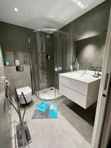 Phòng tắm tại Villa Pleine campagne Jacuzzi 15 mn Saint Florent