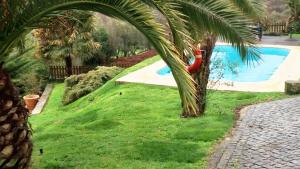 une personne debout dans un palmier à côté d'une piscine dans l'établissement 3 bedrooms villa with private pool enclosed garden and wifi at Caminha, à Caminha