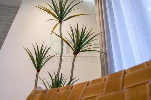 Fotografie z fotogalerie ubytování '' The ONE '' v destinaci Alexandrupoli