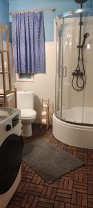 a bathroom with a shower and a toilet at Parisowka w Wielkim Lesie 