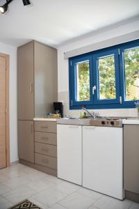 Кухня или мини-кухня в Thea Apartments
