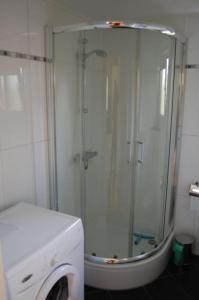 een badkamer met een douche en een wasmachine bij Chalet Europarcs Zuiderzee in Biddinghuizen
