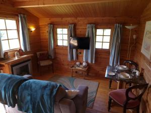 a living room with a couch and a tv in a cabin at Polgwedhen Lodge in Truro