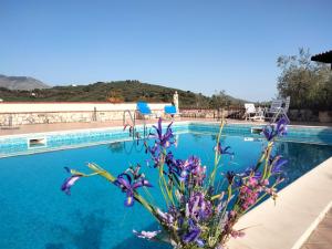 uma piscina com água azul e flores roxas no primeiro plano em Casale di Valle Fredda em Itri