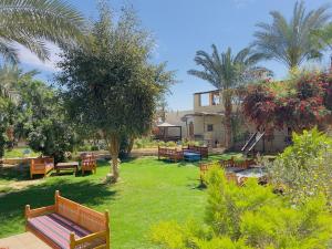 a park with benches and trees and a building at Zad El Mosafer Guest House in Tunis