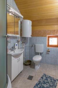 Kod Goluba na Tari في Šljivovica: حمام مع مرحاض ومغسلة