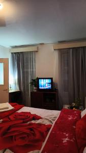 - une chambre avec un lit et une télévision dans la fenêtre dans l'établissement Liberty Apartment, à Cluj-Napoca