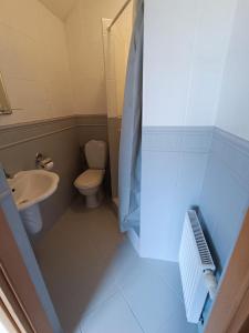 a small bathroom with a toilet and a sink at Pokoje u Gruszki in Swarzewo