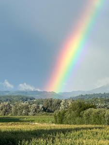 a rainbow in the sky over a field at Kikis FEWO in Friesenheim