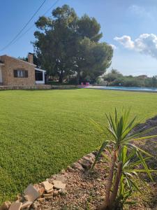 a palm tree in front of a grass field at Nina´s Paradise in L'Ampolla