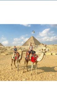 dos hombres montados en camellos frente a una pirámide en Falcon pyramids inn en El Cairo