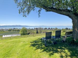 due sedie sedute sotto un albero in un campo di Ferienhof Lang a Kressbronn am Bodensee