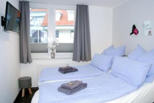ein Schlafzimmer mit einem Bett mit blauen Kissen und einem Fenster in der Unterkunft Meeresrauschen 6 in Großenbrode
