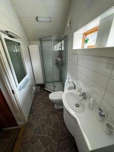 a bathroom with a toilet and a sink and a shower at Strandhytte nær preikestolen in Strand