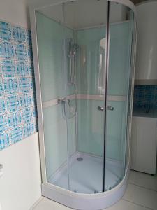 y baño con ducha y puerta de cristal. en Apartment Pražská en Rokycany