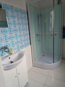 y baño con ducha acristalada y lavamanos. en Apartment Pražská en Rokycany