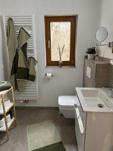 a bathroom with a sink and a toilet and a window at GRETE - Haus Sonnenblick in Heringhausen