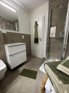 a bathroom with a shower and a sink and a toilet at GRETE - Haus Sonnenblick in Heringhausen