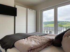 een slaapkamer met een bed en een groot raam bij Diemelblick 17 in Heringhausen