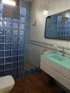 y baño con aseo, lavabo y ducha. en Casa Rural El Almendrillo, en Arcos de la Frontera