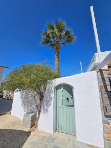 a palm tree behind a white wall with a green door at Gioma Garden Villas in Istro