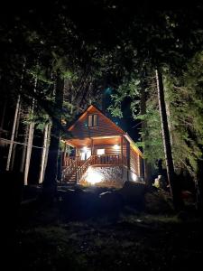Oni的住宿－Rest House，夜间在树林里带灯的小屋
