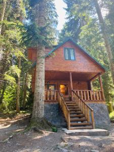 Oni的住宿－Rest House，树林里的木头小屋