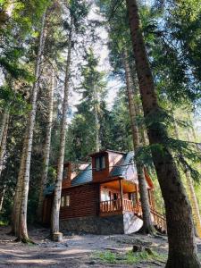 Oni的住宿－Rest House，森林中间的小木屋