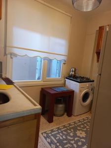 een kleine keuken met een wastafel en een wasmachine bij Plaja 100m, bahçe katı, 1+1 daire. in Ayvalık