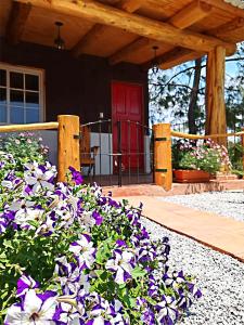 a bunch of purple and white flowers in front of a house at Finca Chuchiyá cabañas Tecpan in Tecpán Guatemala