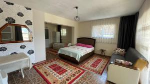 a bedroom with a bed and a couch in a room at Şahan Apart in Gökçe