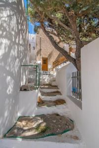 una escalera con un árbol en el lateral de un edificio en Sunset studio in Plaka, en Plaka Milou 19 fotos más