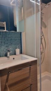 ein Bad mit einem Waschbecken und einer Dusche in der Unterkunft Appartement Clos Mathilde in Cabourg