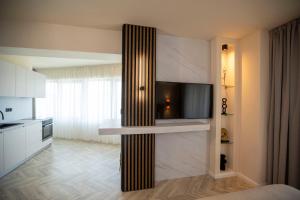 Il comprend un salon avec une télévision et une cuisine. dans l'établissement 18th Elite View by Tower Apartments, à Cluj-Napoca