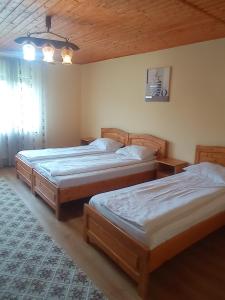 a bedroom with two beds in a room at Casa de Vacanta Eva in Stoeneşti