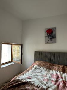 BIO FARMA في تيرانا: غرفة نوم بسرير وصورة على الحائط