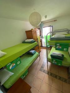 a room with green bunk beds in a room at The Best House Tenerife Habitaciones Compartidas in Adeje